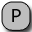P - Invoicing software